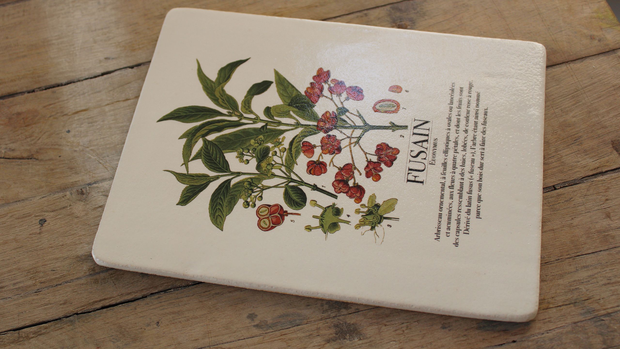 TABLE ORIENTATION / ROMANS SUR ISERE